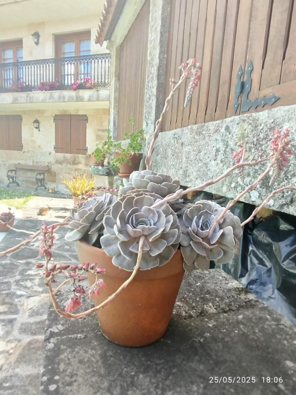 O Apartamento Do Xanza, Ideal Para Parejas Adaptado Movilidad Reducida Meis Dış mekan fotoğraf